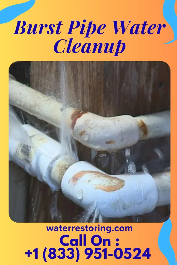 Burst Pipe Water Cleanup in Jonesville, VA