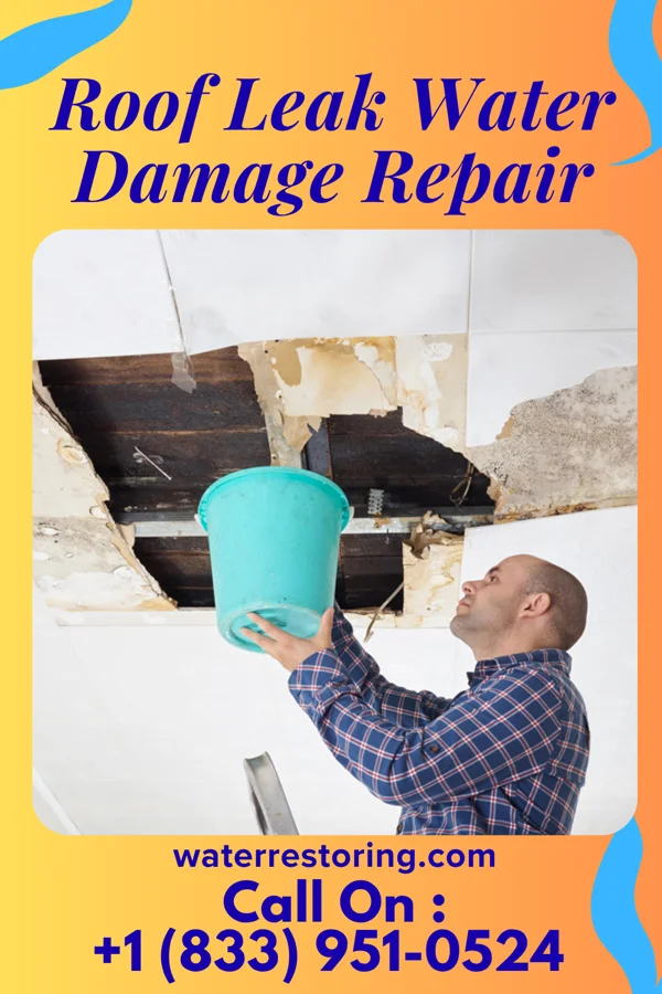 Roof Leak Water Damage Repair in Jonesville, VA