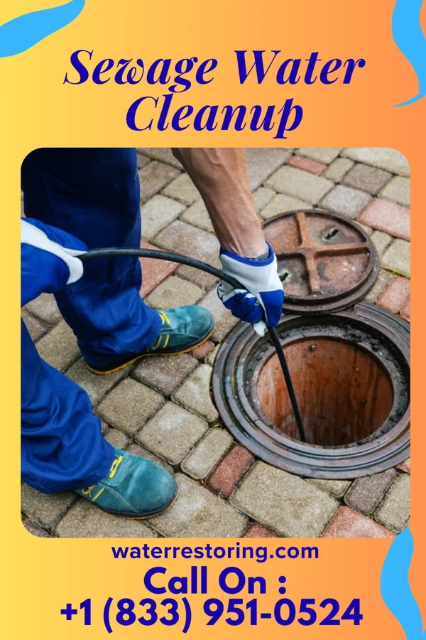 Sewage Water Cleanup in Jonesville, VA